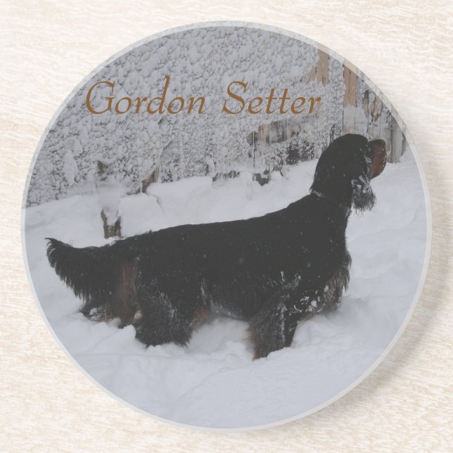 Gordon Setter in Snowstorm Coaster Underlägg (Framsidan)