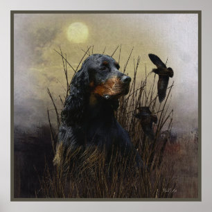 Gordon Setter, jaktsällskap Poster