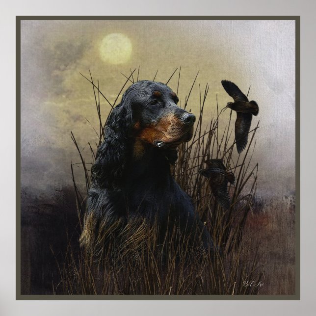 Gordon Setter, jaktsällskap Poster (Framsidan)