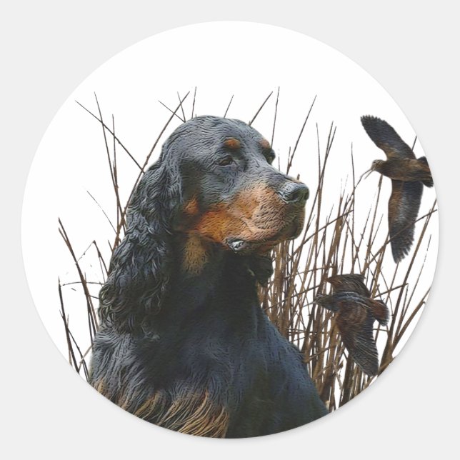 Gordon Setter, jaktsällskap Runt Klistermärke (Framsida)