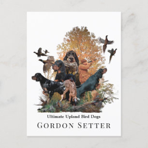 Gordon Setter,jaktsäsong Vykort