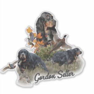 Gordon Setter Klistermärken