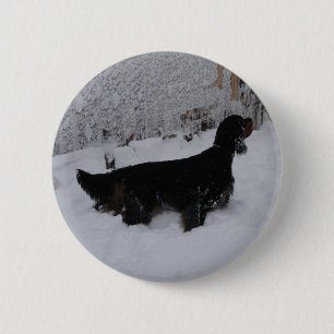 Gordon Setter-knapp Knapp