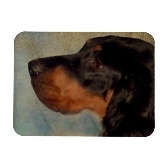 Gordon Setter Magnet (Horisontell)