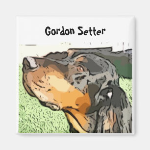 Gordon Setter-magnet Magnet