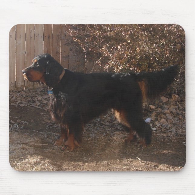 Gordon Setter Mousepad Musmatta (Framsidan)