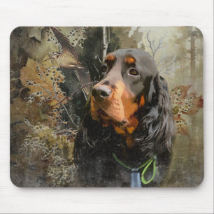 Gordon Setter Musmatta