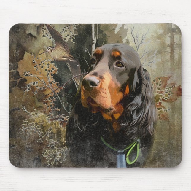 Gordon Setter Musmatta (Framsidan)