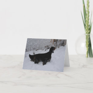 Gordon Setter Note-kort Helgkort