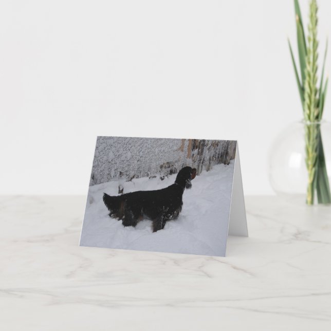 Gordon Setter Note-kort Helgkort (Framsida)