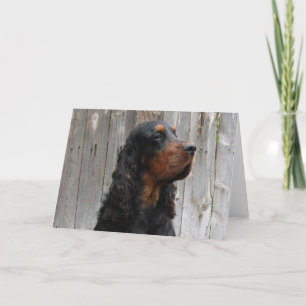 Gordon Setter Note-kort Helgkort