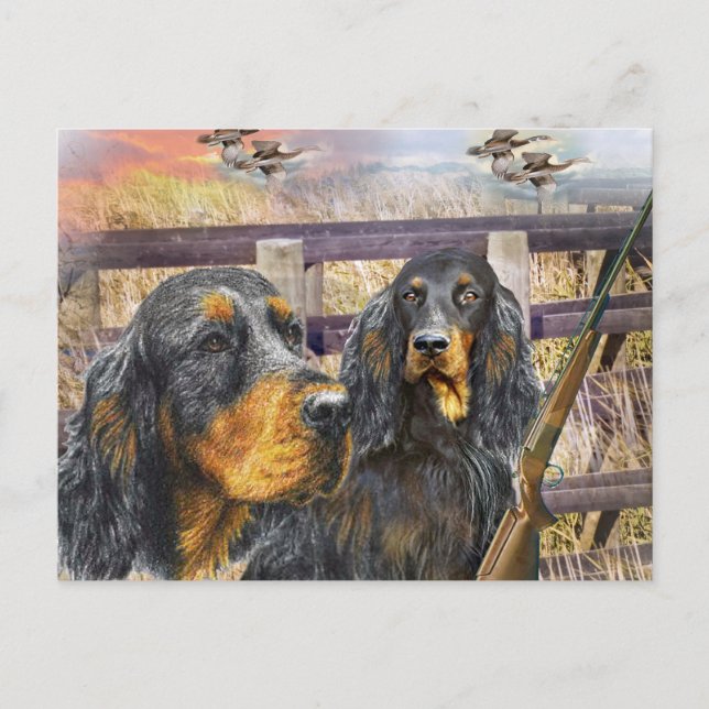 Gordon Setter på hunt-gåvor Vykort (Framsida)