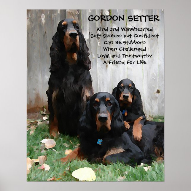 Gordon Setter Painting Poster "En vän för livet" (Framsidan)