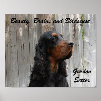Gordon Setter Poster