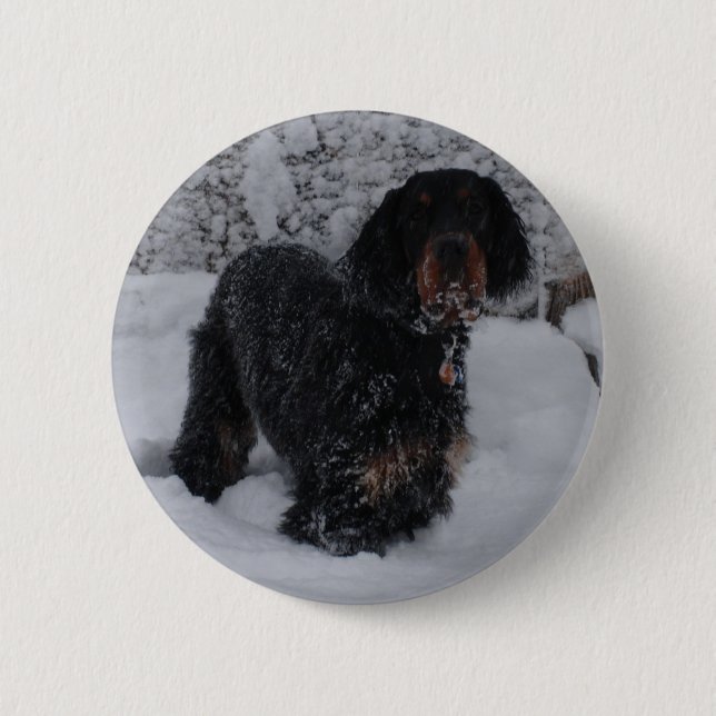 Gordon Setter Puppy-knapp Knapp (Framsida)