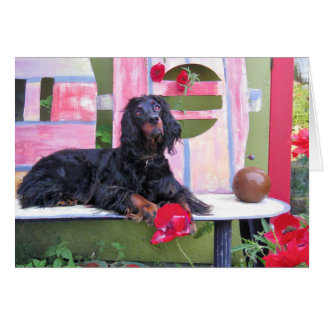 Gordon Setter Shania Hälsningskort