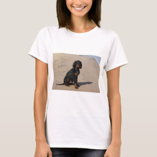 Gordon Setter T Shirt