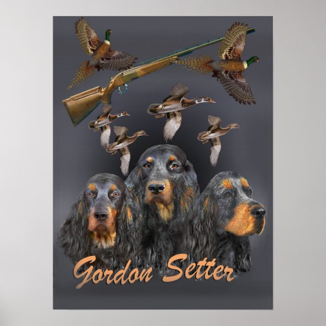 Gordon Setter trio hunts Poster (Framsidan)