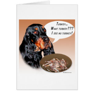 Gordon Setter Turkiet Hälsningskort