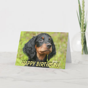 Gordon Setter-uppfyllnadskort Kort