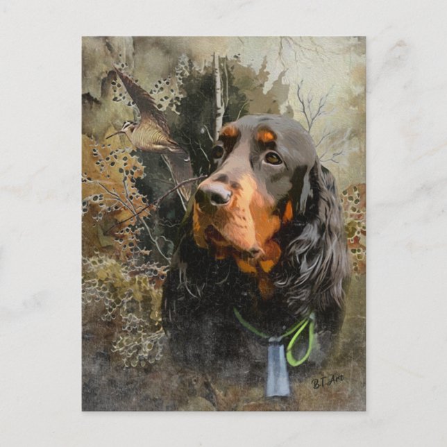 Gordon Setter Vykort (Framsida)