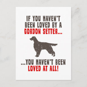 Gordon Setter Vykort