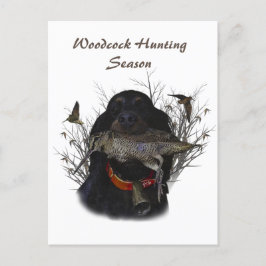 Gordon Setter Vykort