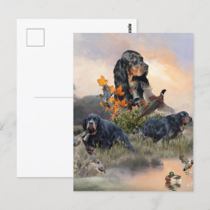Gordon Setter Vykort