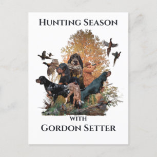 Gordon setters , Art Vykort