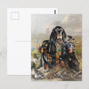 Gordon Setters , Passion for Birds , Art Vykort