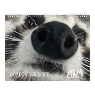 Gordon Wildlife Raccoon Calendar 2024 Kalender