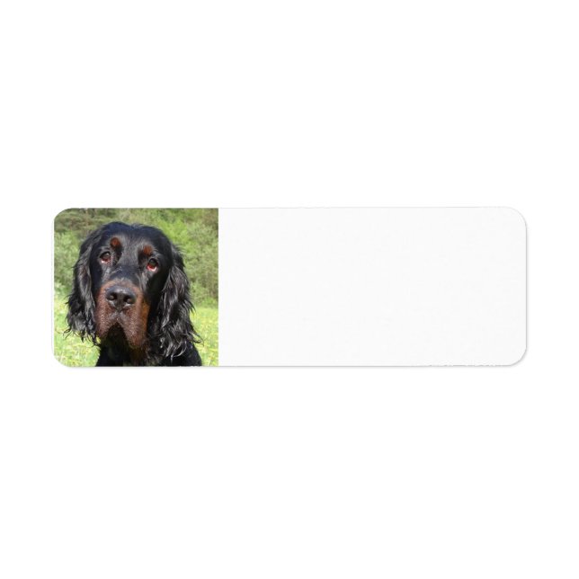 gordonsetter.png returadress etikett (Framsidan)