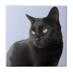 Gorgant svart katt kakelplatta<br><div class="desc">Jag stötte på den här vackra svarta katten i Algarve där den var obligatorisk för detta fotografi. Den här keramiska plattan skulle ge en underbar gåva till en kattälskare och ett sött kaffe underlägg.</div>