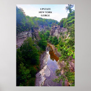 GORGE IN ITHACA NEW YORK KANVASTRYCK POSTER