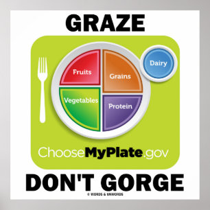 Gorge (MyPlate.gov Food Groups) Poster