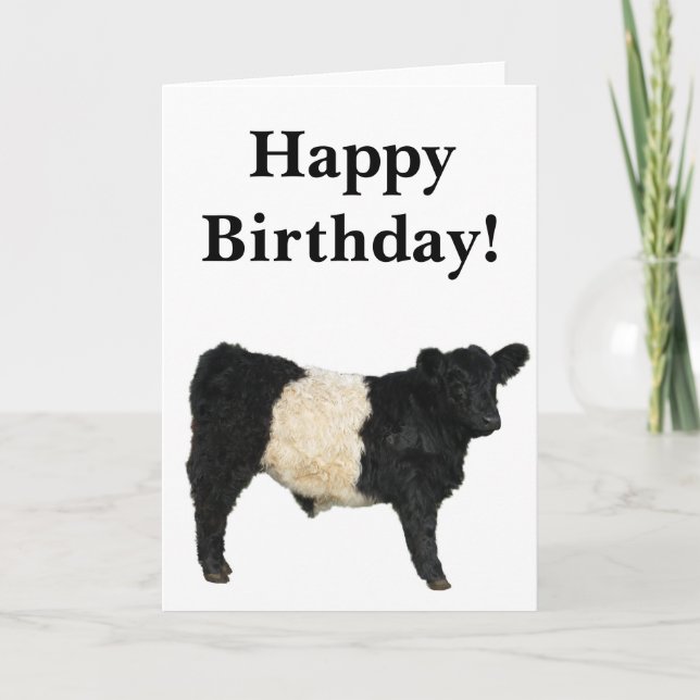 Gorgeous Belted Galloway Steer Cutout Card Kort (Framsida)