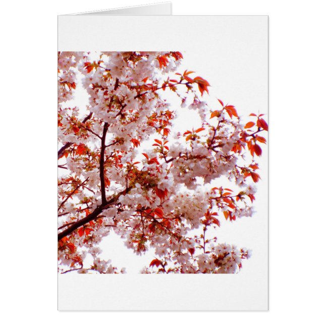 GORGEOUS BOUQUET of BLOOMS Hälsningskort (Framsidan)