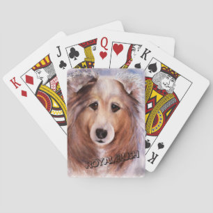 GORGEOUS COLLIE CASINOKORT