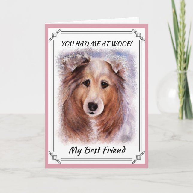 GORGEOUS COLLIE KORT (Framsida)