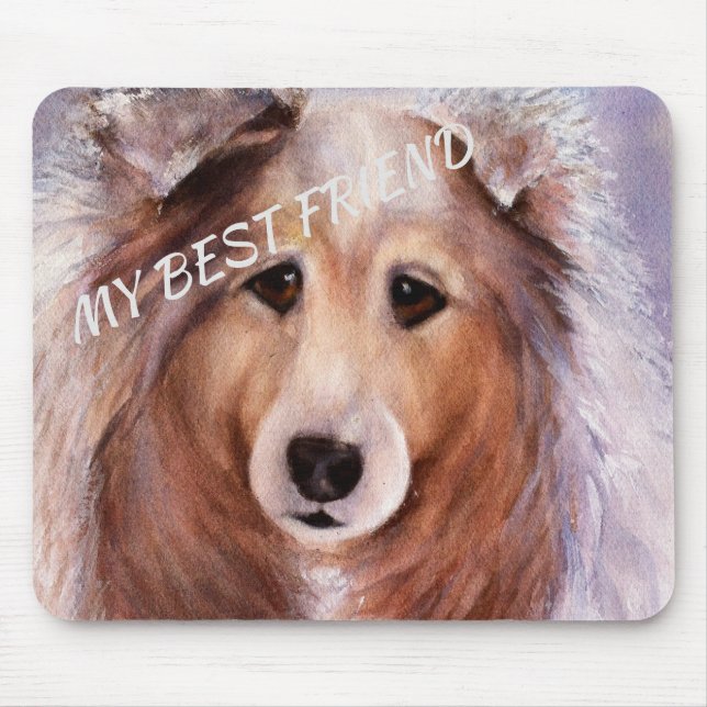 GORGEOUS COLLIE MUSMATTA (Framsidan)