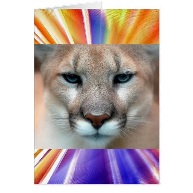 GORGEOUS COUGAR HÄLSNINGSKORT (Framsidan)