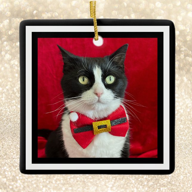 Gorgeous Tuxedo Cat Christmas Ornament  (Skapare uppladdad)