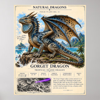 Gorget Drakfältplatta Poster