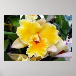 Gorgisk Gult Exotic Orchid Poster