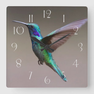Gorgisk hummingbird under flygning fyrkantig klocka