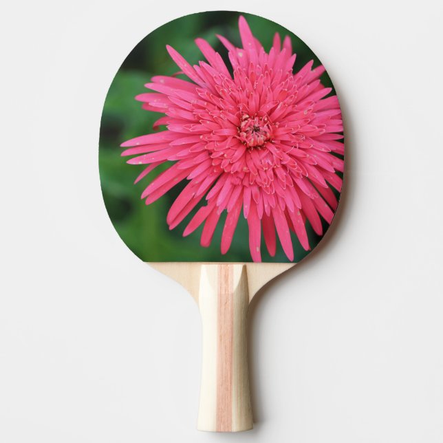 Gorgisk korallblomma Ping Pong Paddle Pingisracket (Framsidan)