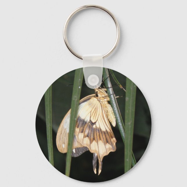 Gorgisk Moth Keychain Nyckelring (Framsida)