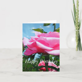 Gorgisk rosa ros-blomma och grönt-löv i blått kort