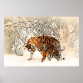 Gorgisk tiger och unge i snö poster