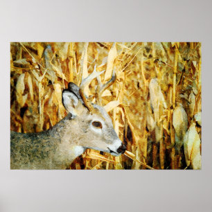 Gorgisk Whitetail Hjort Buck Watercolor Painting Poster